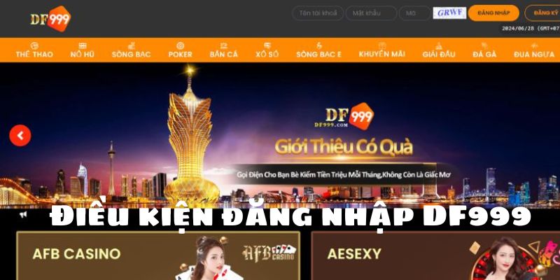 Điều kiện đăng nhập DF999