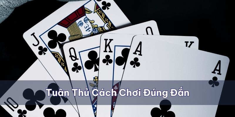 Tuân thủ cách chơi đúng đắn để dễ dàng đem lại chiến thắng cao nhất